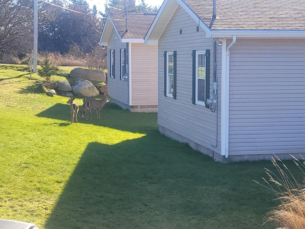 Whispering Waves Cottages Shelburne Exterior foto
